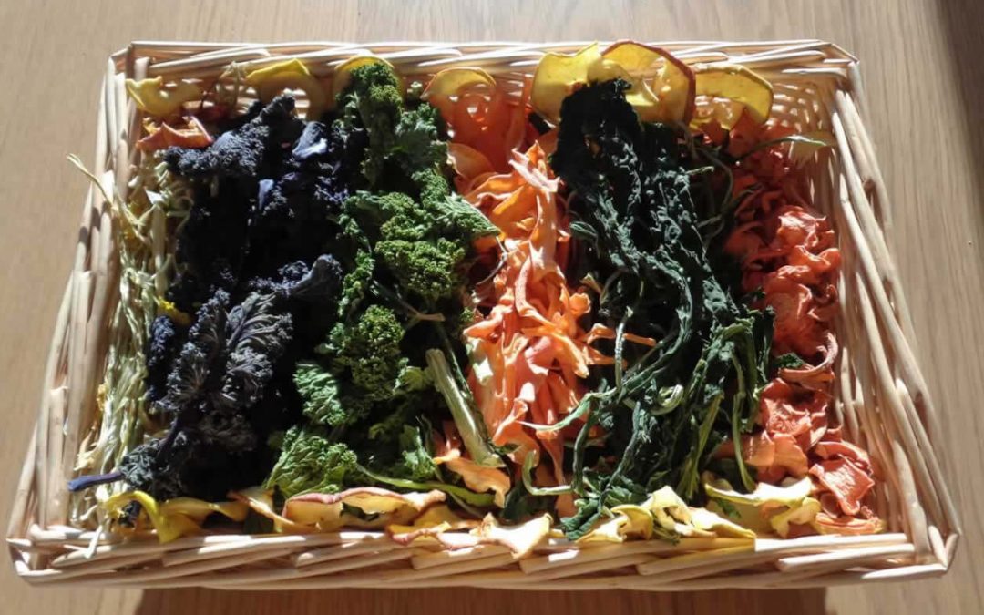 Dehydrator Drying