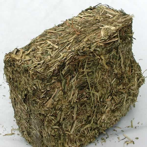 Grass Brick