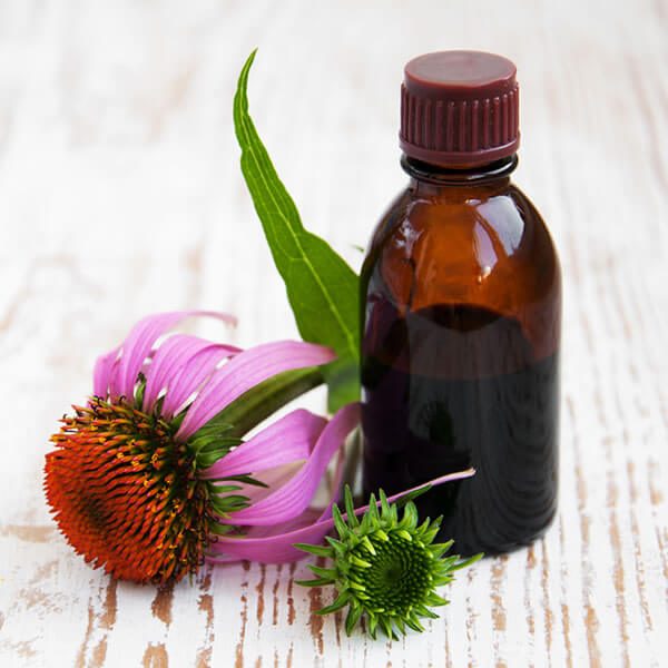 TGalen's Garden's Herbal Tinctures & Syrups