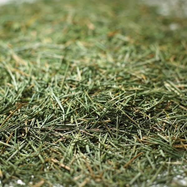 Dried Grass