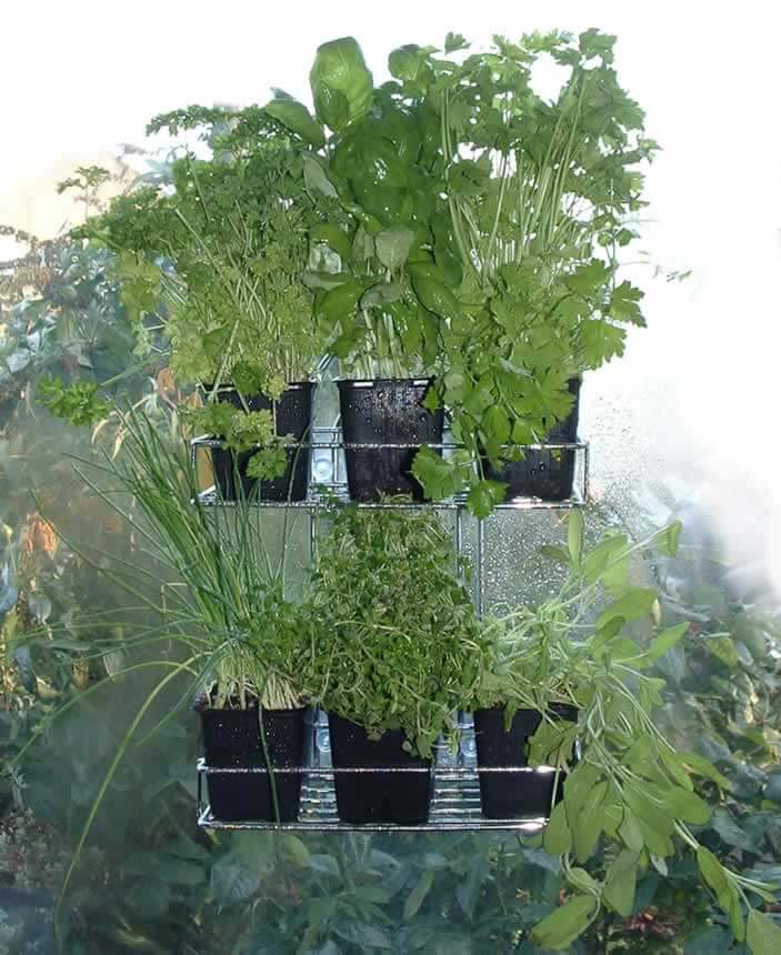 Herb Holder